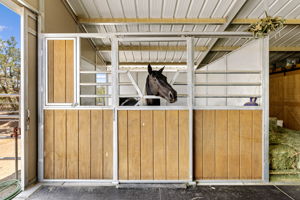 Barn Interior 4