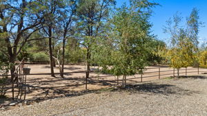 Driveway and Corrals 1