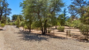 Driveway and Corrals 2