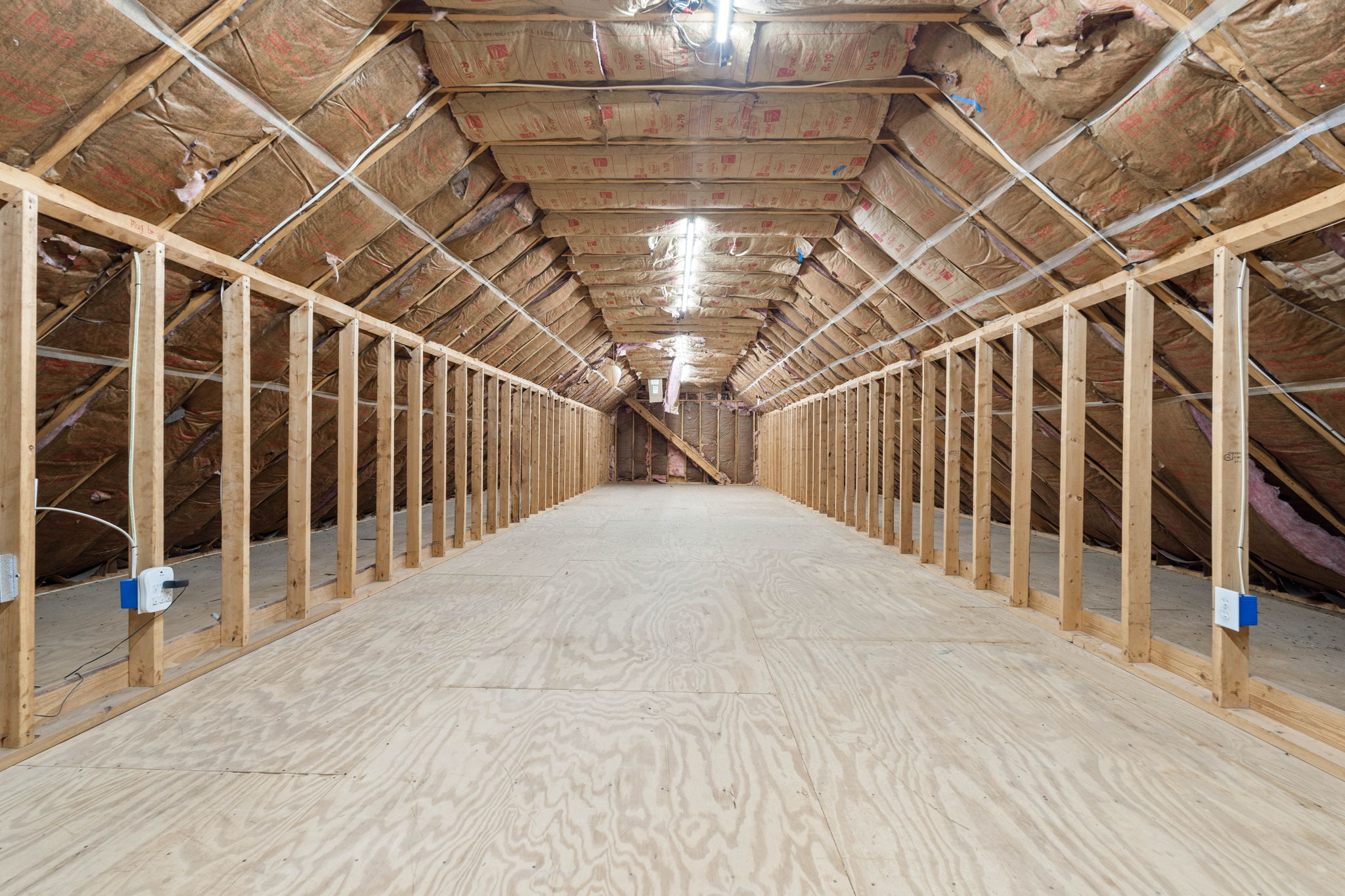  Photo 97