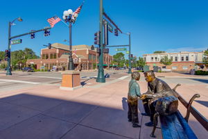  Photo 61