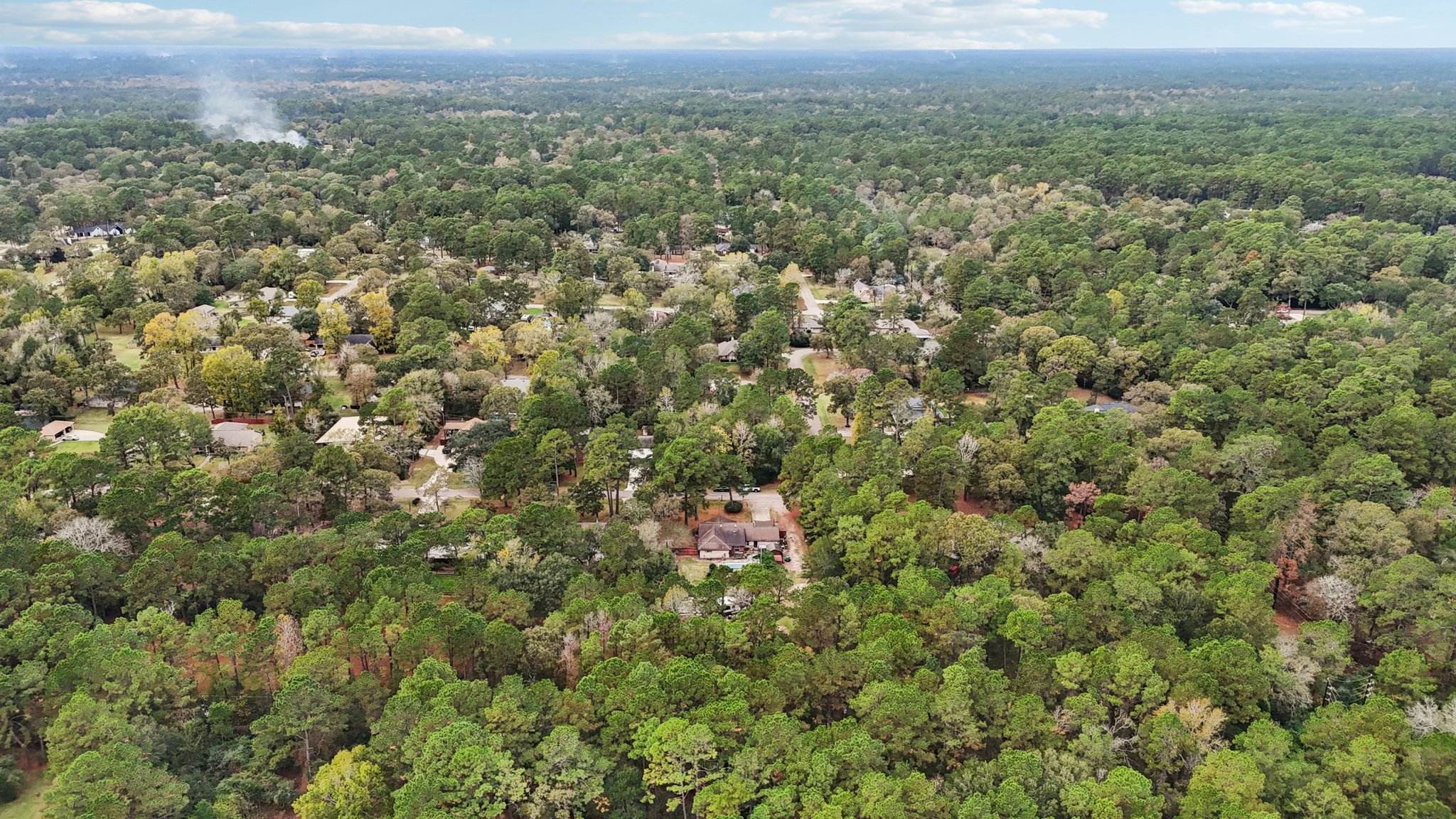 Diane St-S2411-048.jpg