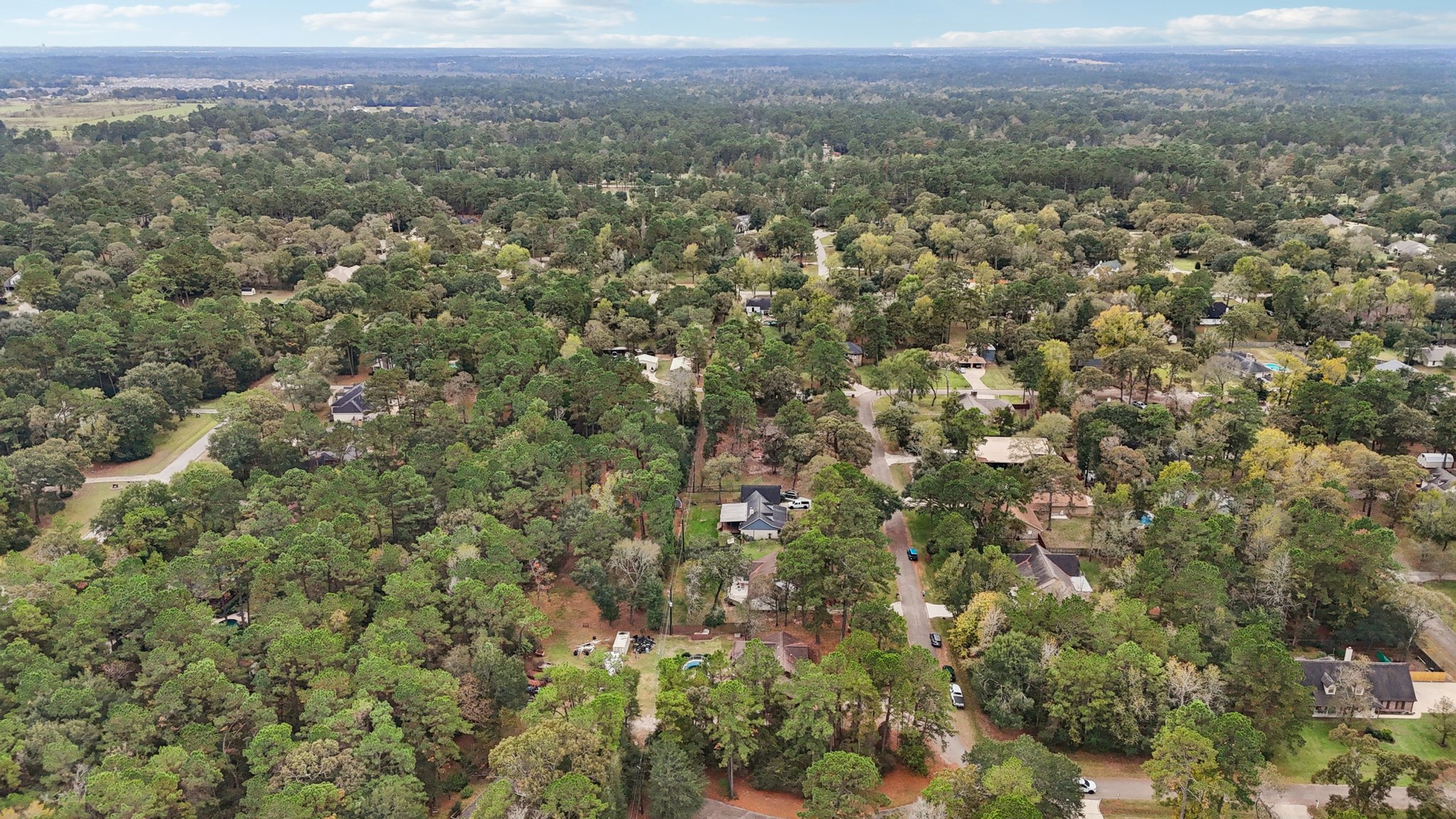 Diane St-S2411-049.jpg