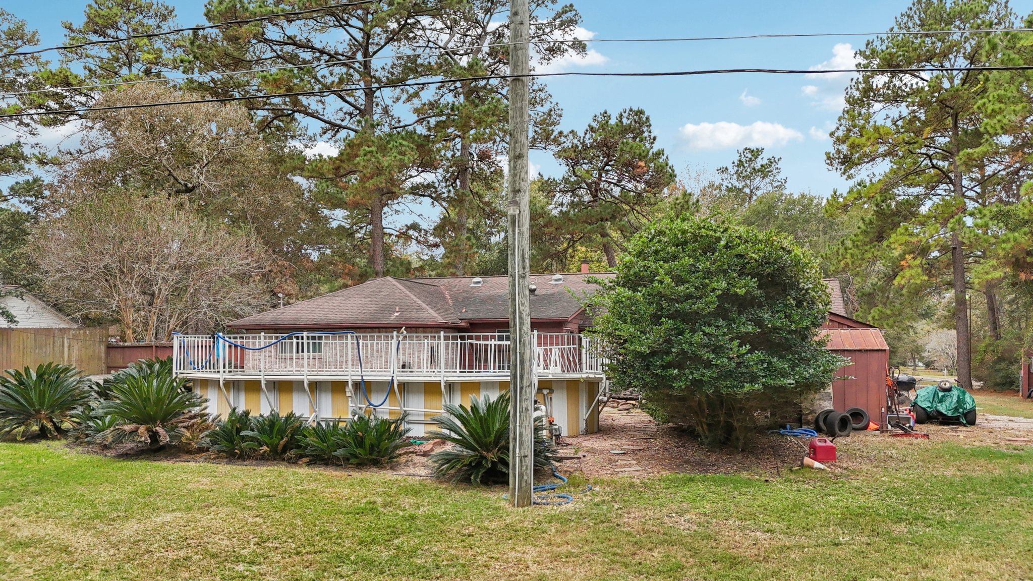 Diane St-S2411-056.jpg