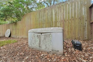 Diane St-S2411-041.jpg