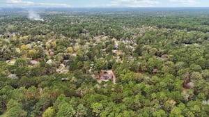 Diane St-S2411-048.jpg