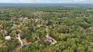 Diane St-S2411-051.jpg