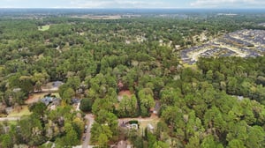 Diane St-S2411-052.jpg