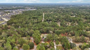 Diane St-S2411-053.jpg