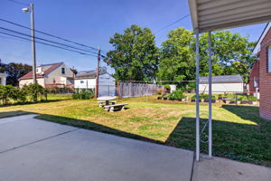  Photo 41