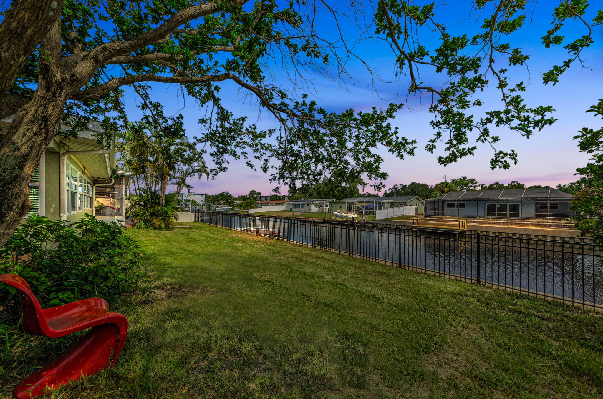 Backyard 5
