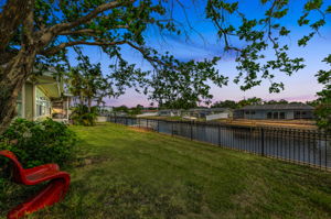 Backyard 5
