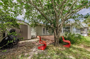 Backyard 4