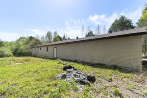  Photo 48