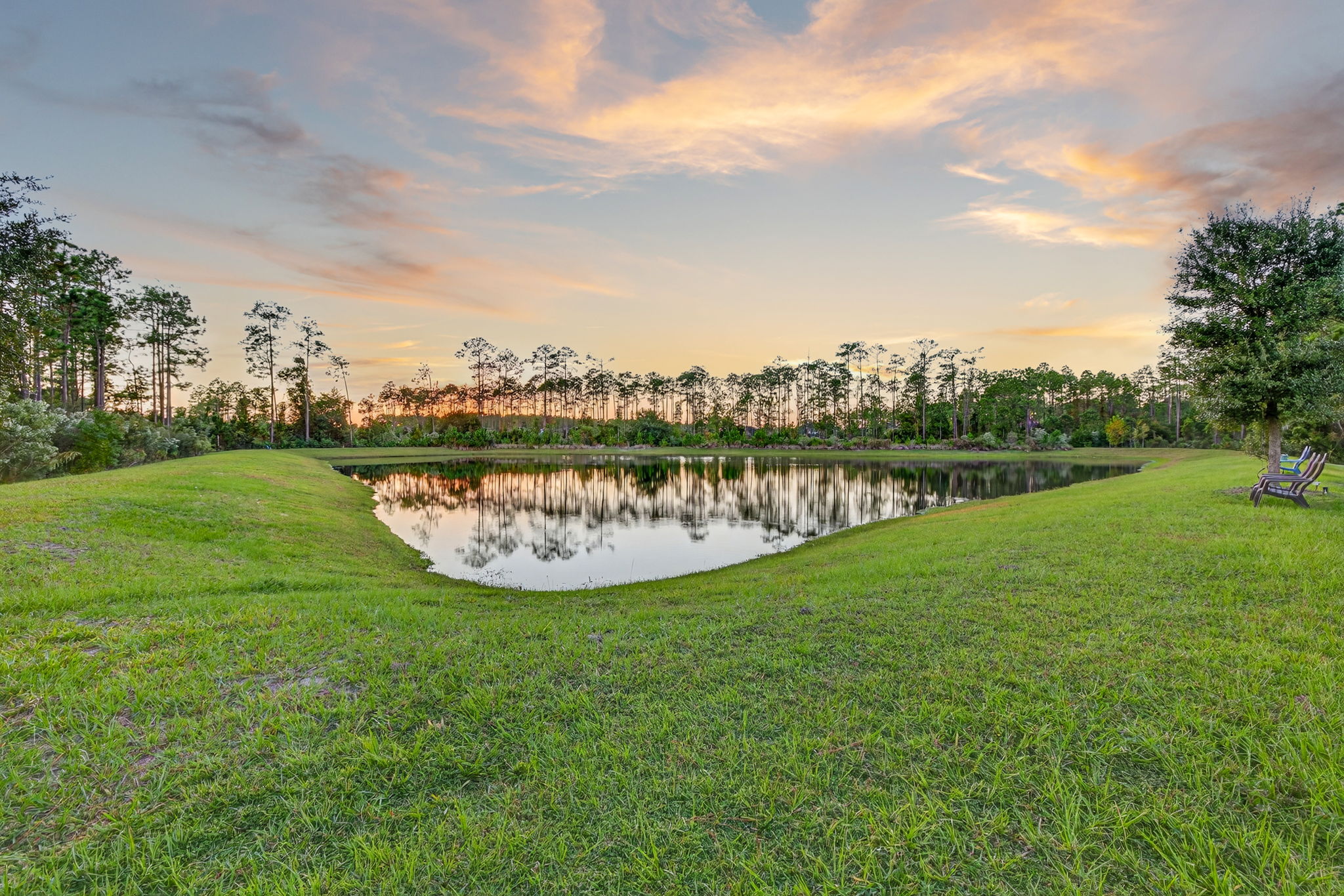 Twilight - Backyard 2 of 2