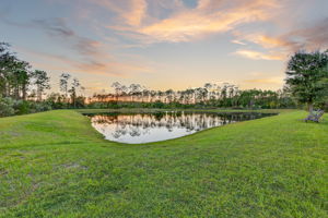 Twilight - Backyard 2 of 2