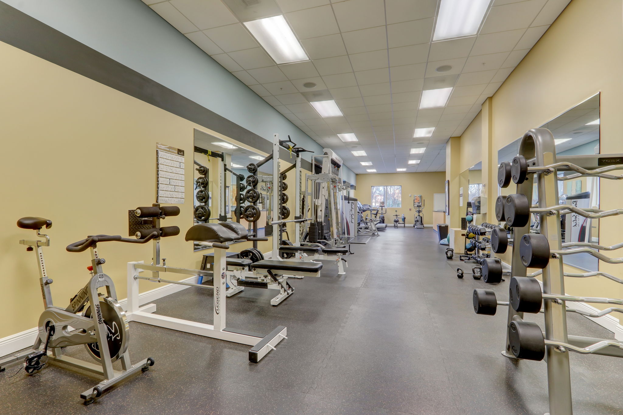 Gym