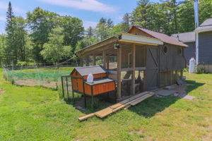 ExteriorRearChickenCoop-1