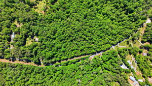 Photo 0