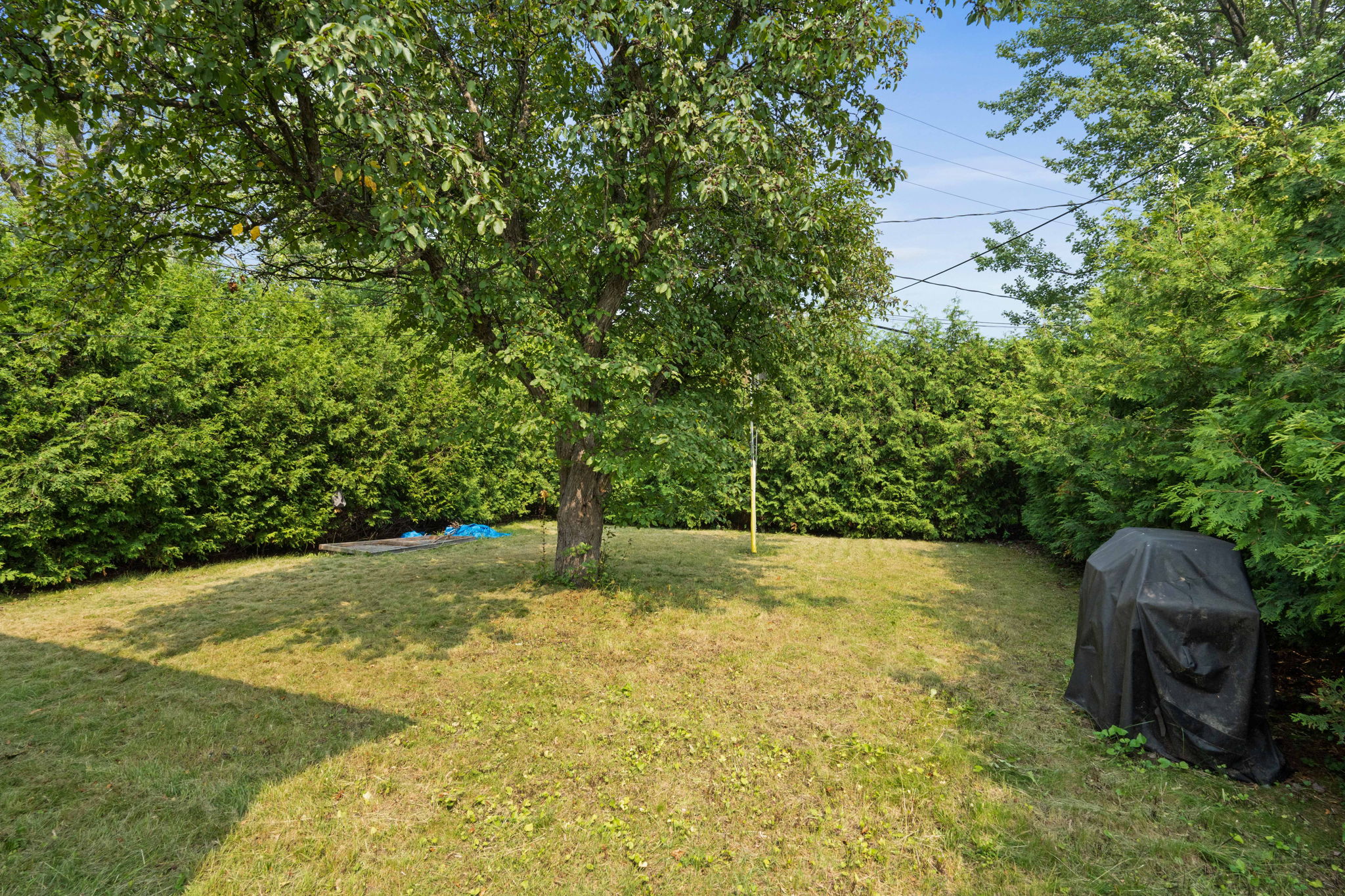  Photo 32