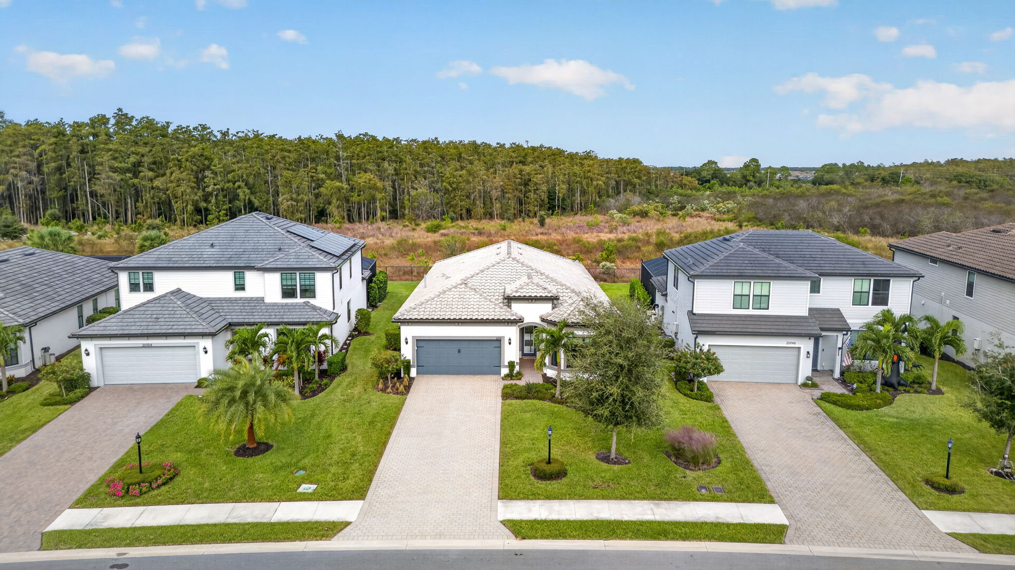 Aerial 1