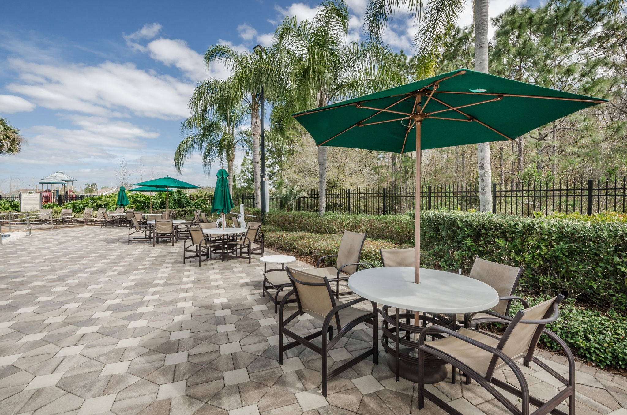 16-Live Oak Patio
