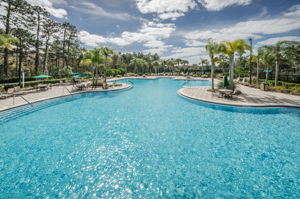 10-Live Oak Pool