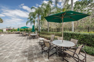 16-Live Oak Patio