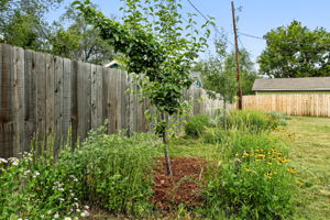  Photo 45
