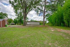  Photo 52