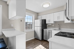 Quartz countertops & Shaker style cabinets