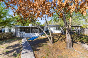 Back Yard/Back of Home