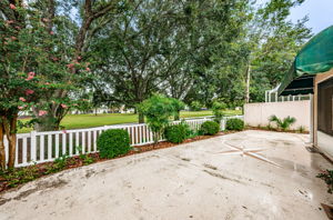 Backyard1-2