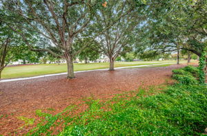 Backyard8 View