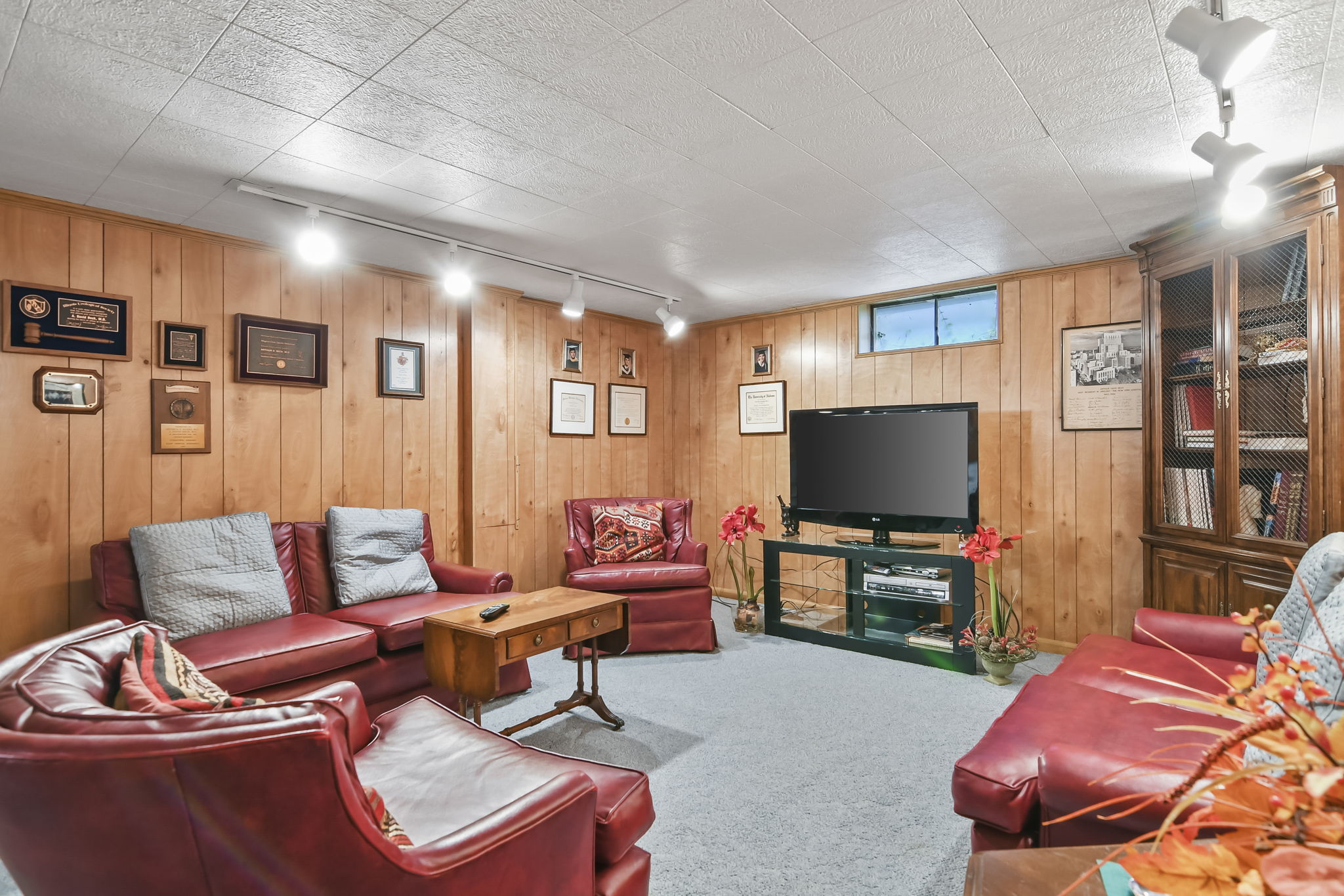 Lower Family Room