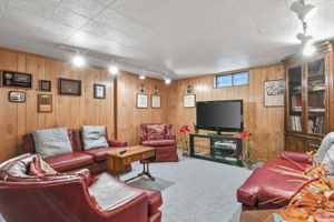 Lower Family Room
