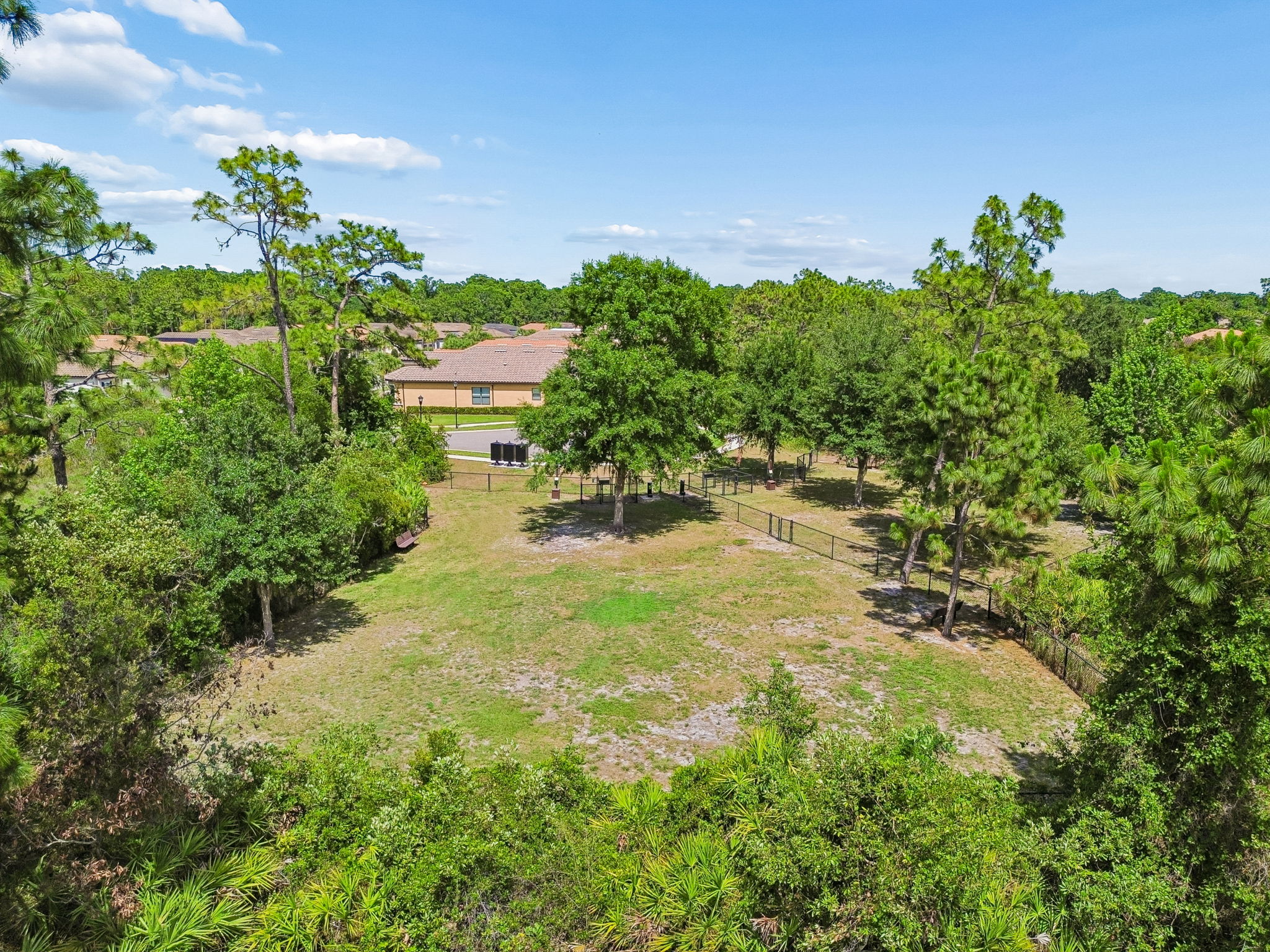 DJI_0166