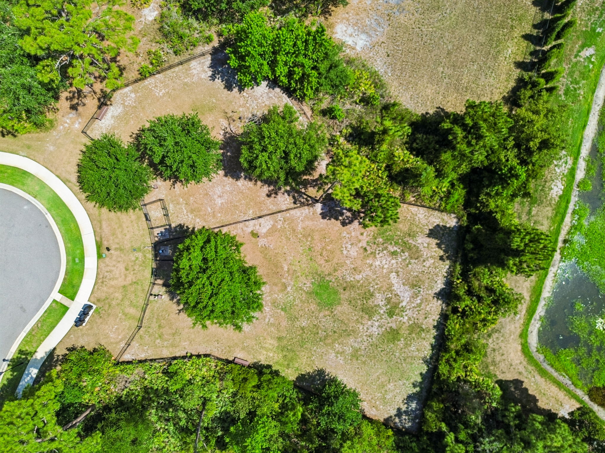 DJI_0181