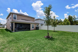 Back of Home