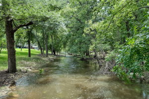 Creek in Community