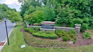 Basil Hall 15