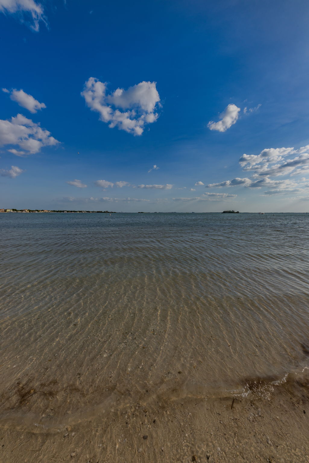 Dunedin Causeway12