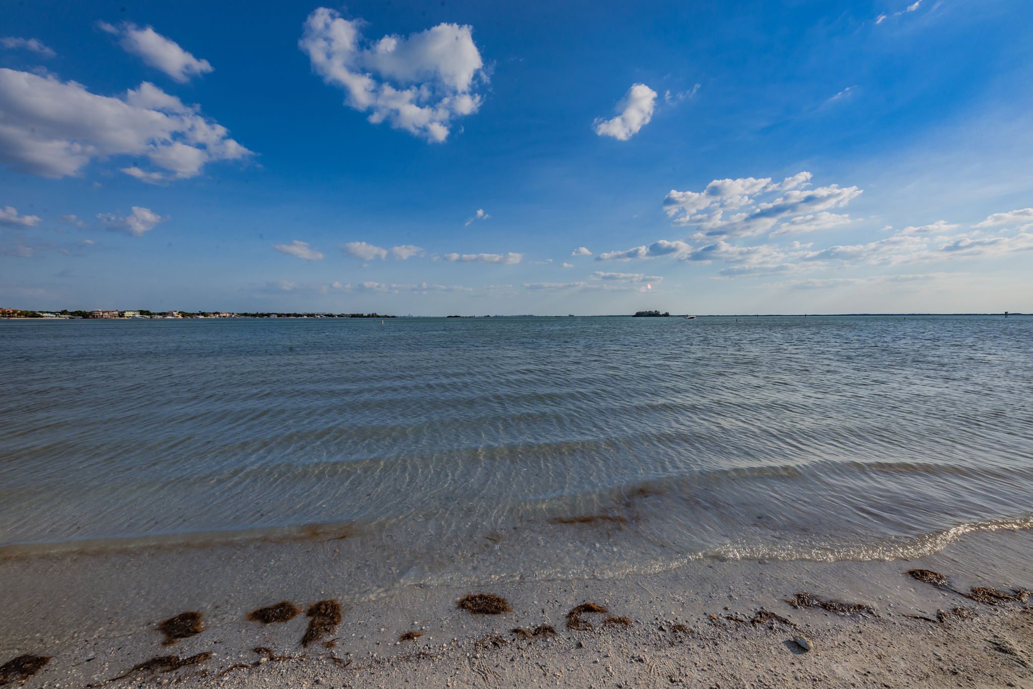 Dunedin Causeway11