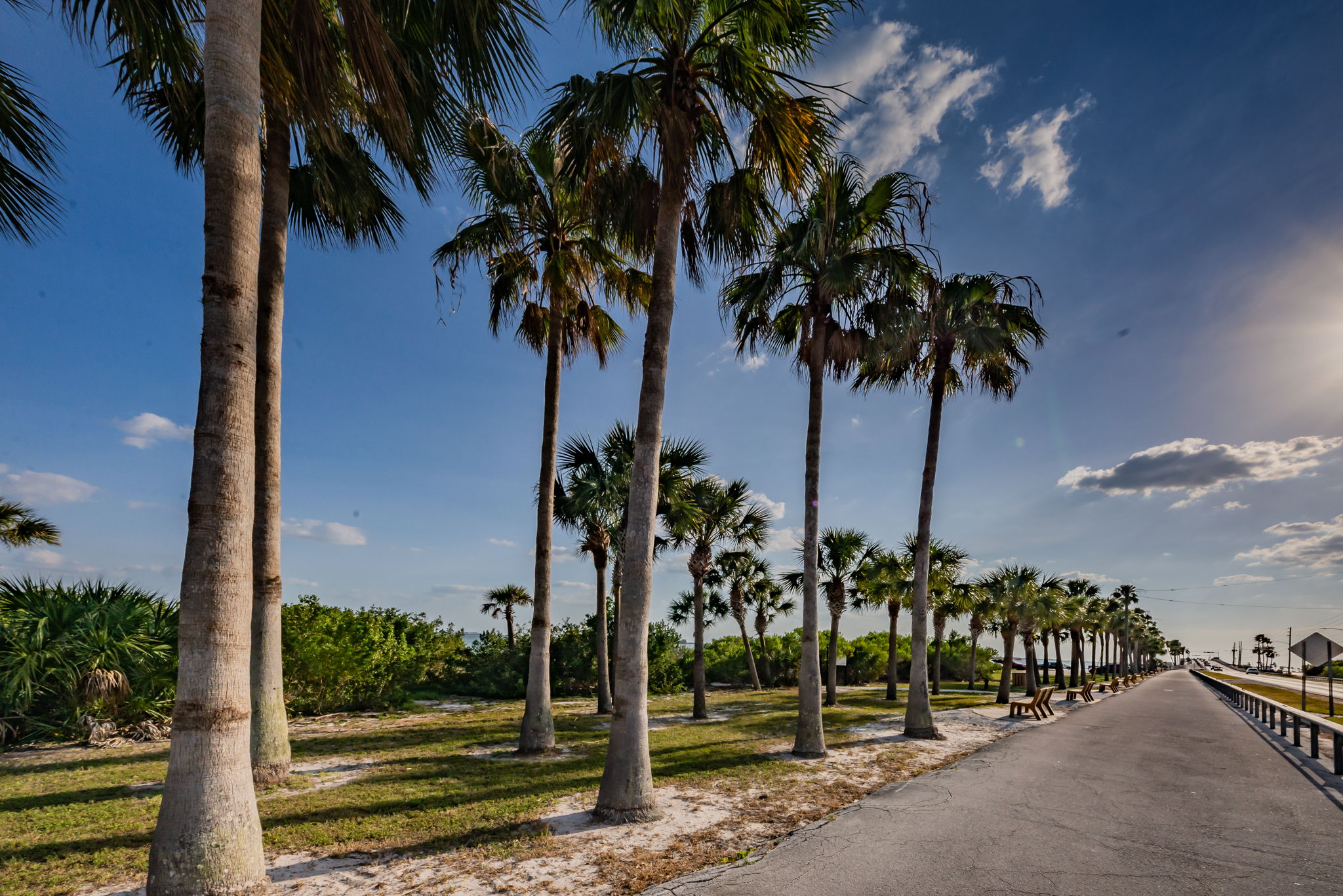 Dunedin Causeway8