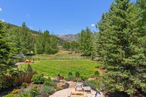 View From Patio