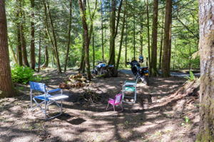 202 Coulson Rd, Chehalis, WA 98532, USA Photo 37