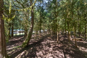 202 Coulson Rd, Chehalis, WA 98532, USA Photo 39