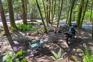 202 Coulson Rd, Chehalis, WA 98532, USA Photo 57