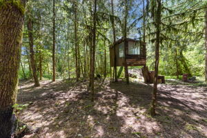 202 Coulson Rd, Chehalis, WA 98532, USA Photo 38