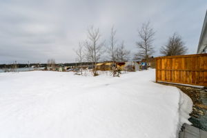  Photo 50